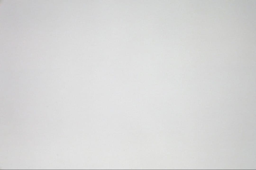 デジタルカメラ Panasonic LUMIX LX100II LX100M2