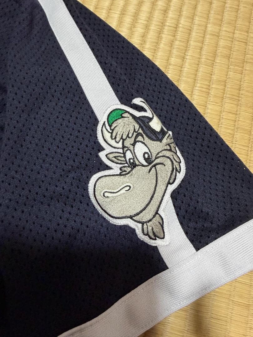 大阪近鉄バッファローズユニフォーム