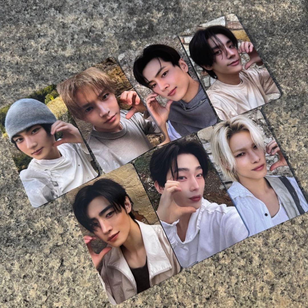 ENHYPEN THE SIN:VANISH showcase 会場限定 トレカ