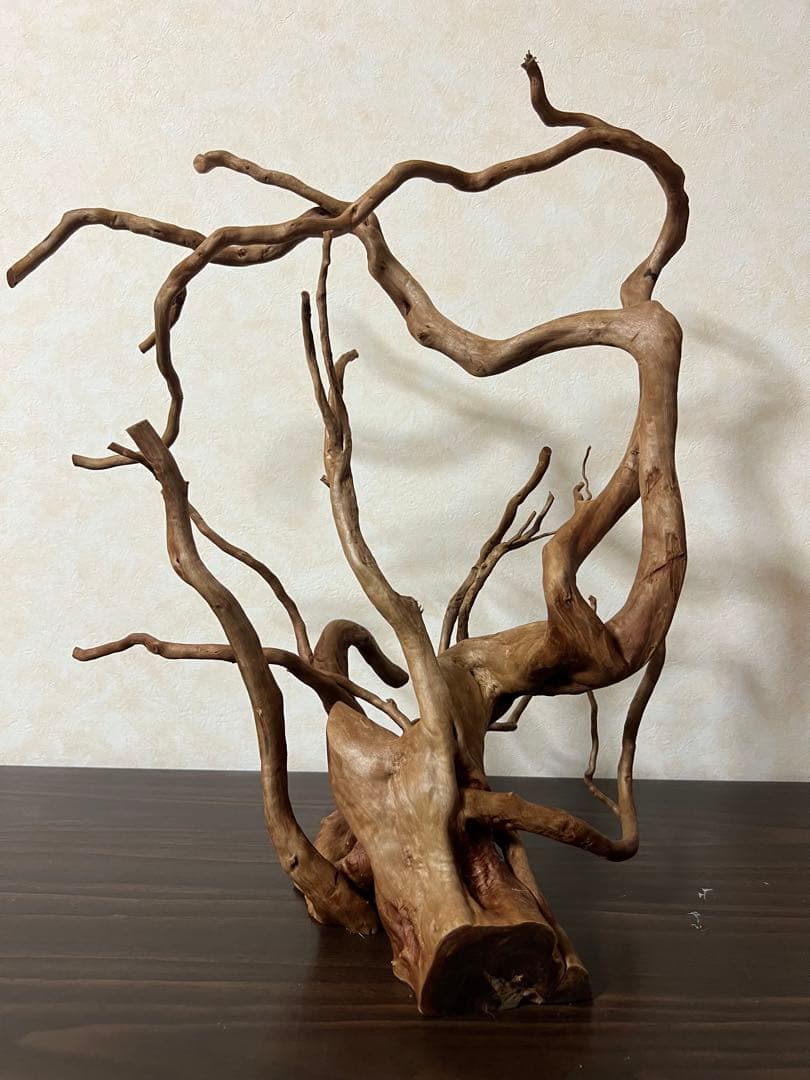 13003 ブランチウッド　流木　アクアリウム　沈水確認済