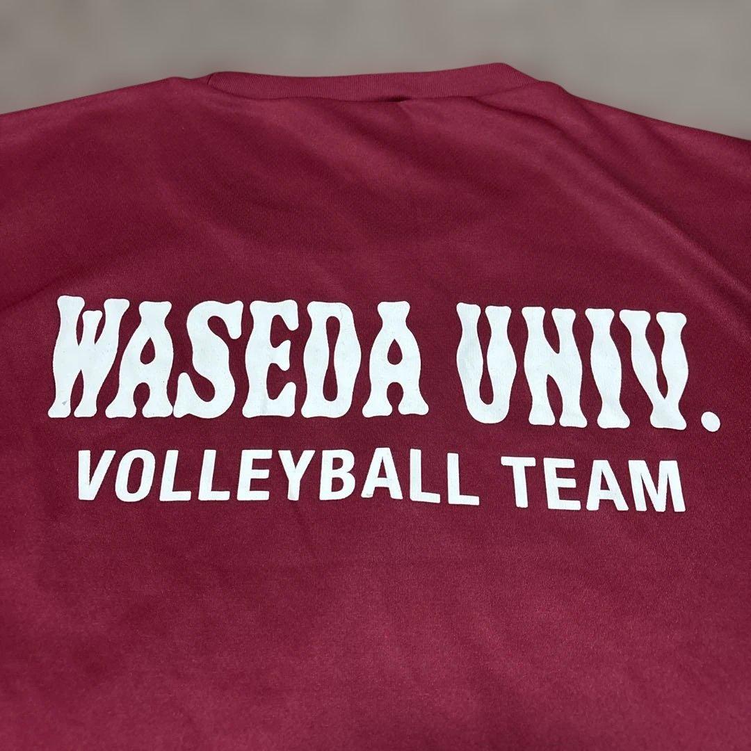 WASEDA UNIV. VOLLEYBALL TEAM 2022 シャツ早稲田