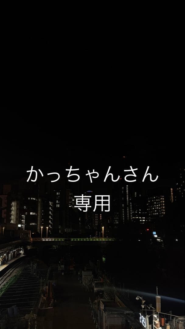 iPhone 15 Pro Max 512GB ケース付き