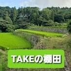 令和7年産 TAKEの棚田米 新米 美味しい米20㎏