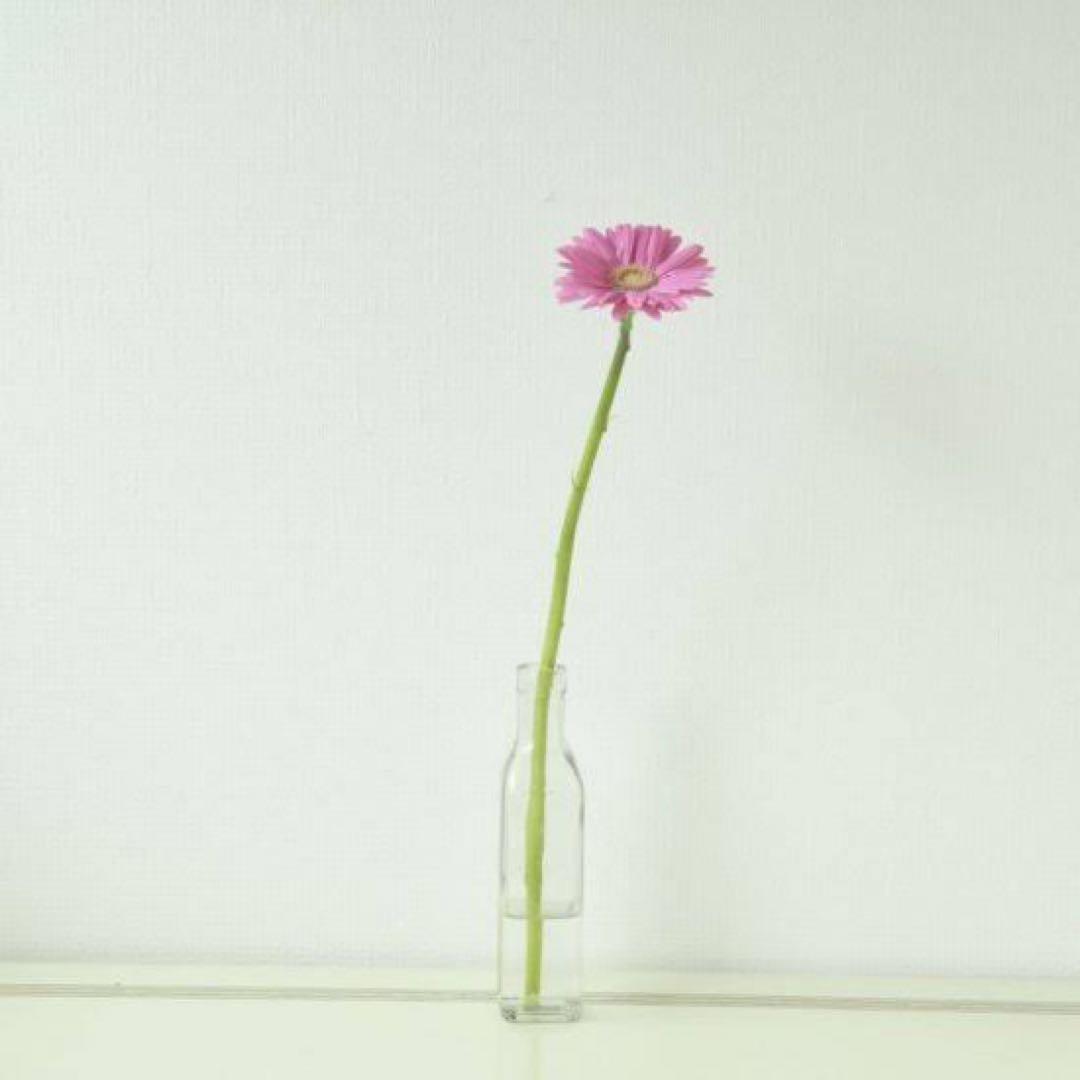 化粧水・ローション・トナー meguri