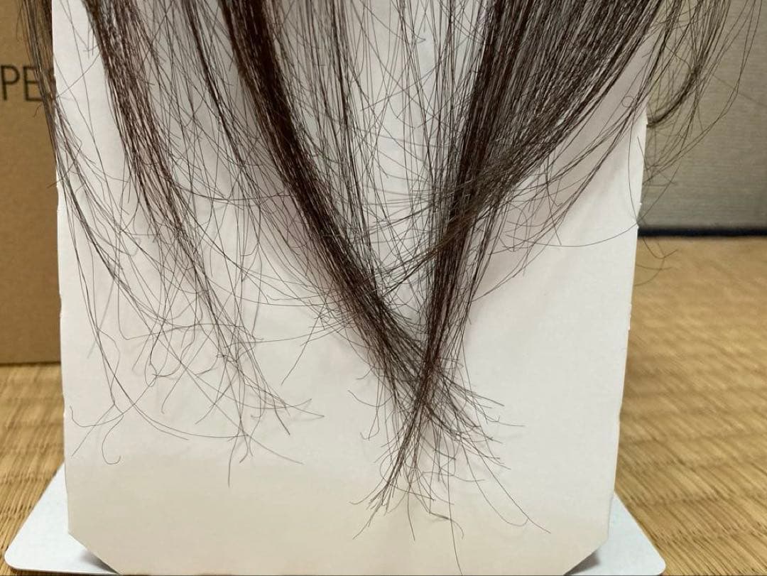 PESCA chacha ウィッグ ダークブラウン