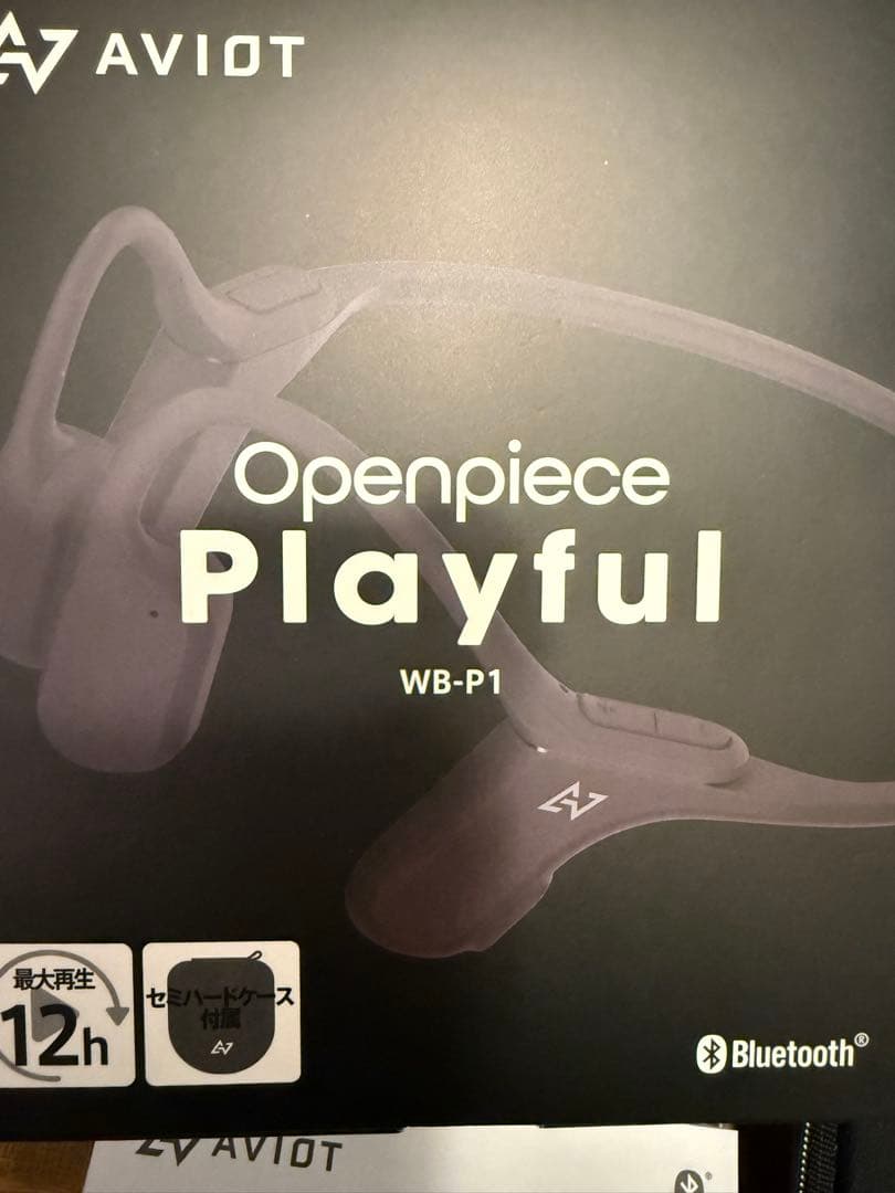 イヤホン AVIOT WB-P1