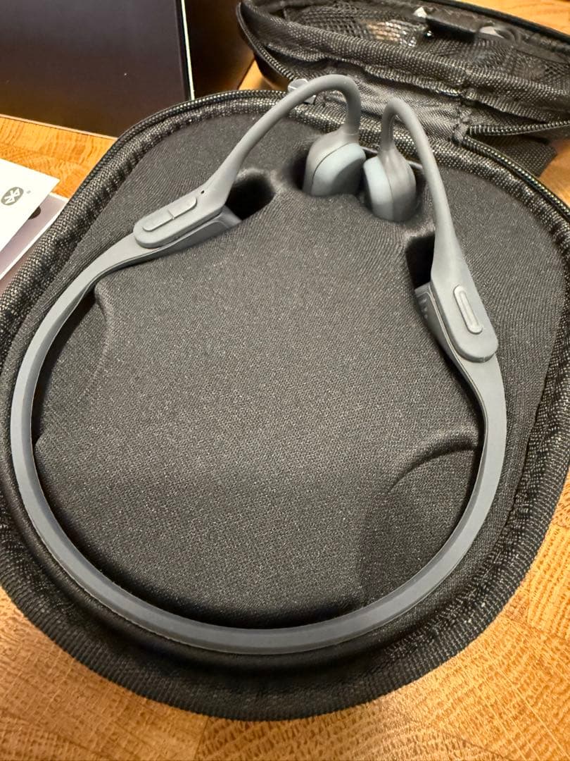 イヤホン AVIOT WB-P1