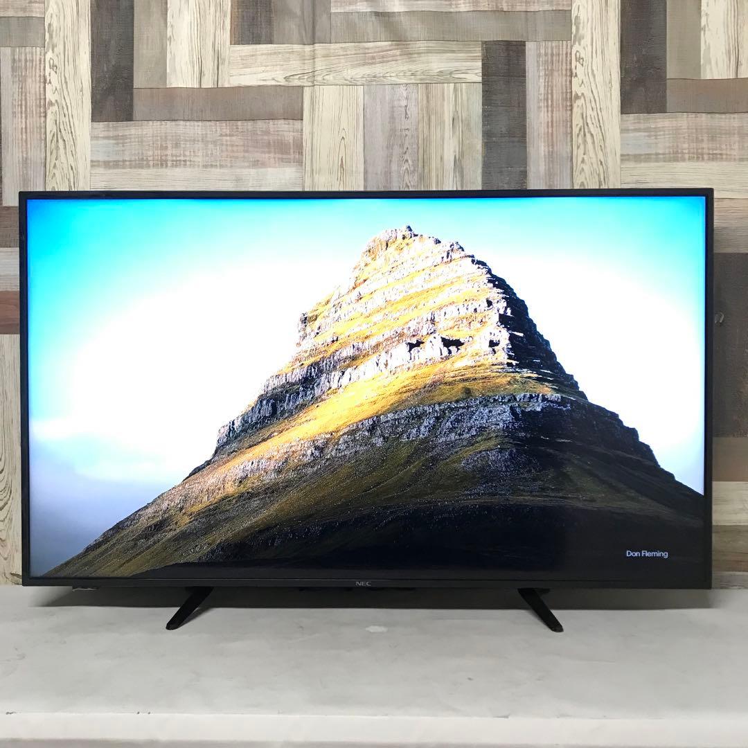 即日受渡❣️全国送料込スリムデザインNEC4K液晶HDR50インチモニター