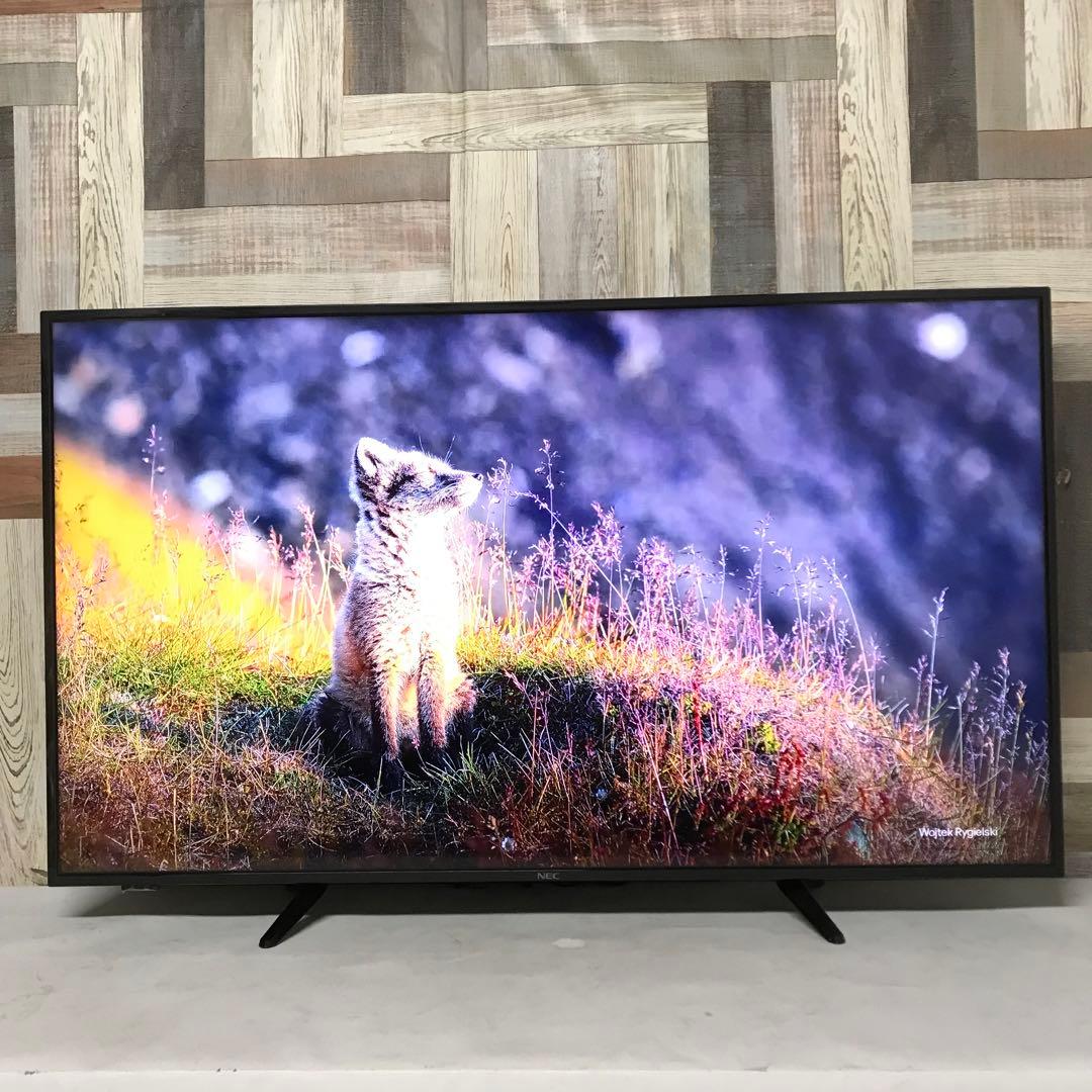 即日受渡❣️全国送料込スリムデザインNEC4K液晶HDR50インチモニター