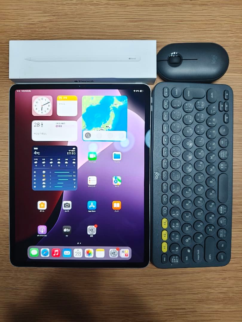 【美品】iPad Pro 12.9インチ 第4世代 Wi-Fi 256GB