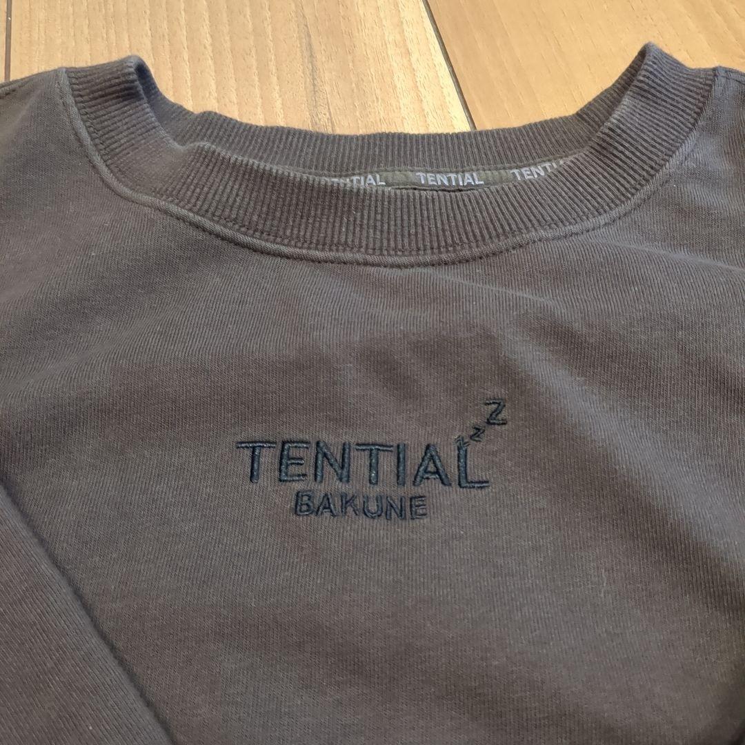 TENTIAl セットアップ