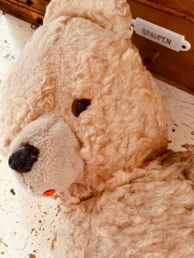 く*ん様 フランス　ヴィンテージベア　モコモコ♡⸝⸝⸝⸝ アンティークベア