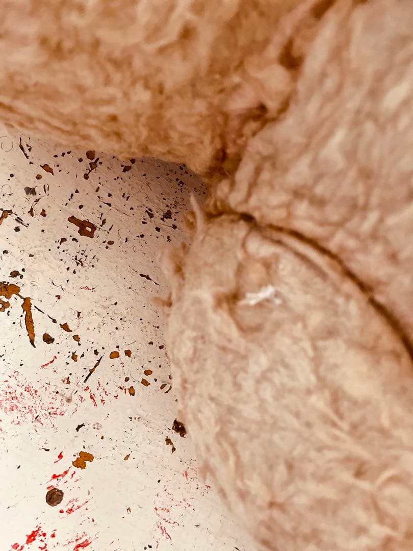 く*ん様 フランス　ヴィンテージベア　モコモコ♡⸝⸝⸝⸝ アンティークベア