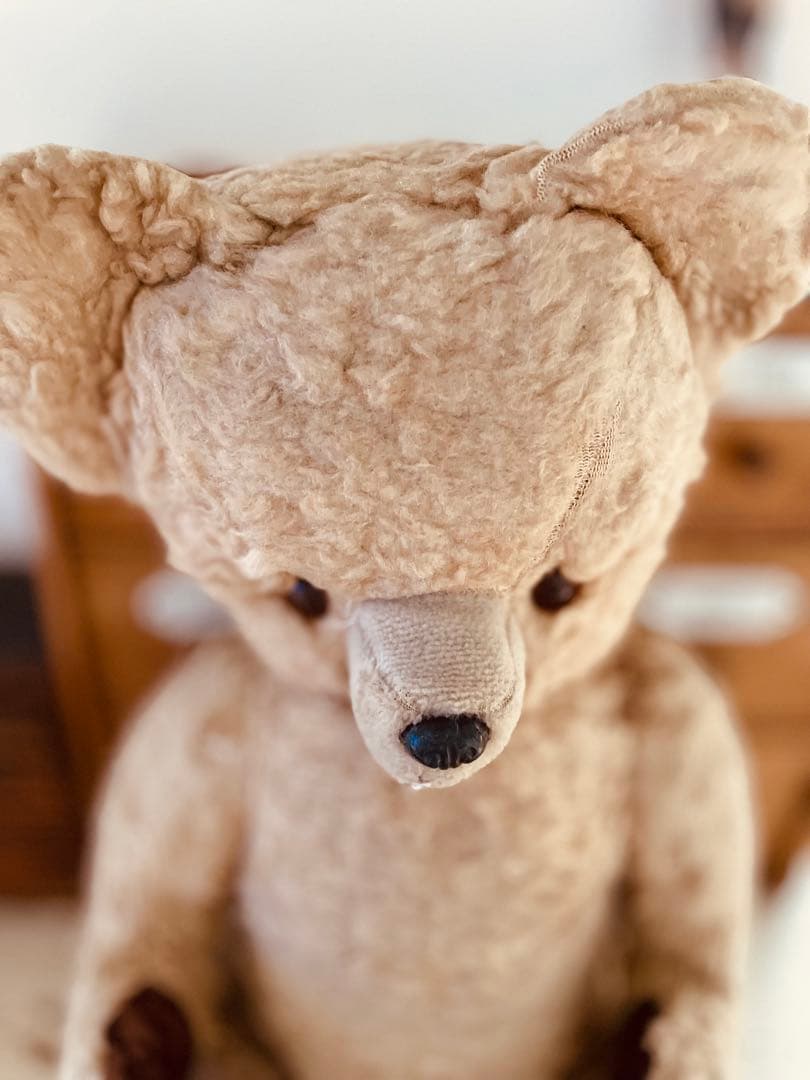 く*ん様 フランス　ヴィンテージベア　モコモコ♡⸝⸝⸝⸝ アンティークベア