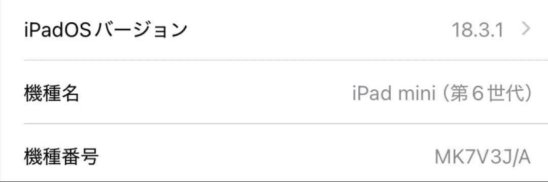 値下げ iPad mini 6 Wi-Fi 256GB & Pencil