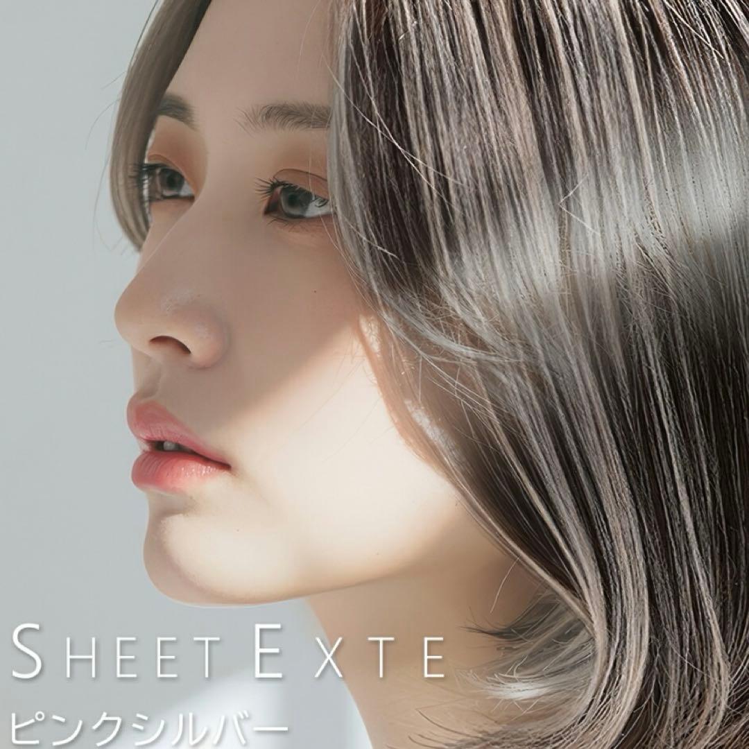 シートエクステ