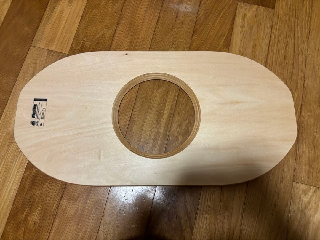 Land Sup Crazy mini バランスボード