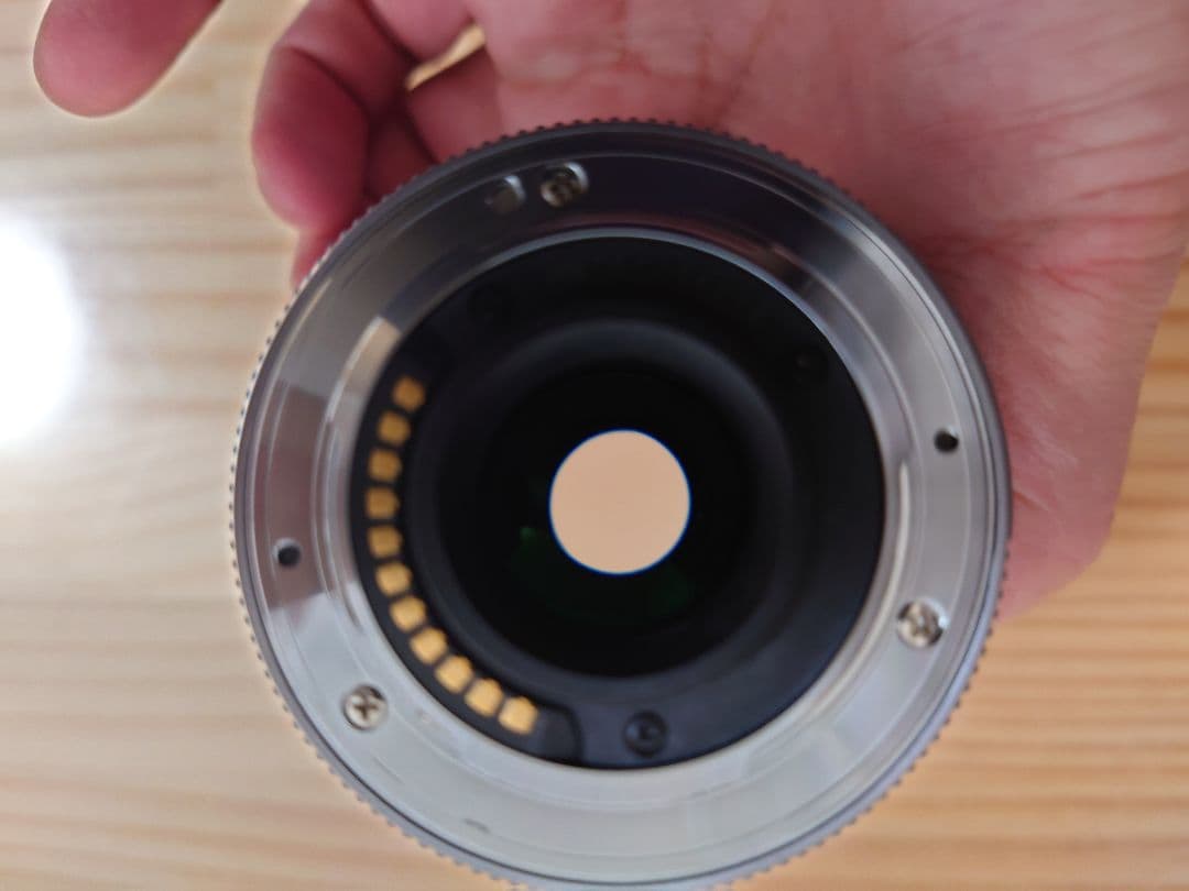 LUMIX ルミックス G X VARIO 45-175mm F4.0-5.6