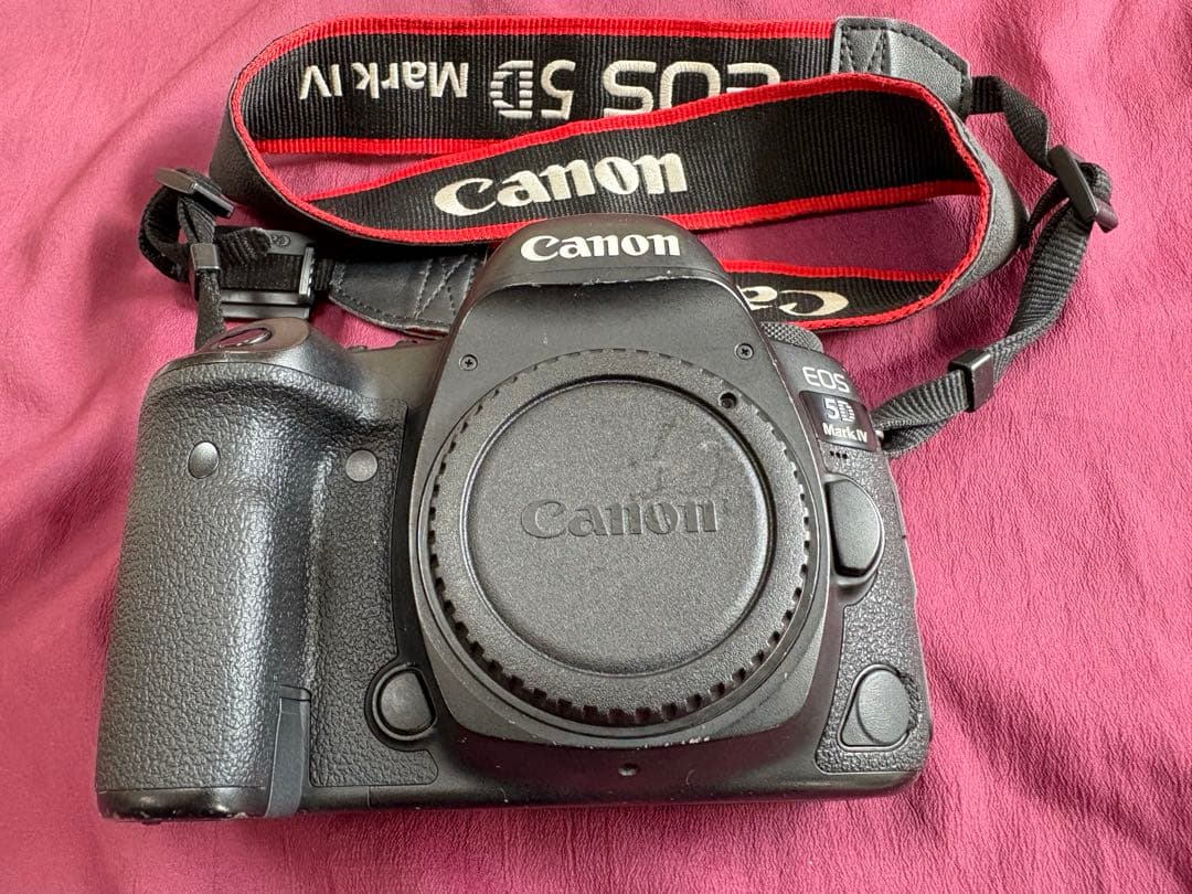 サービスセンターにて点検済　Canon EOS 5D mark 4 付属品完備