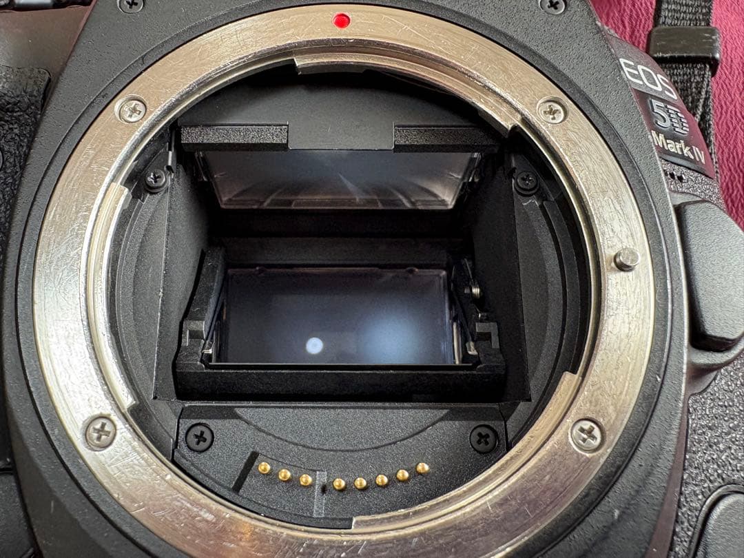 サービスセンターにて点検済　Canon EOS 5D mark 4 付属品完備