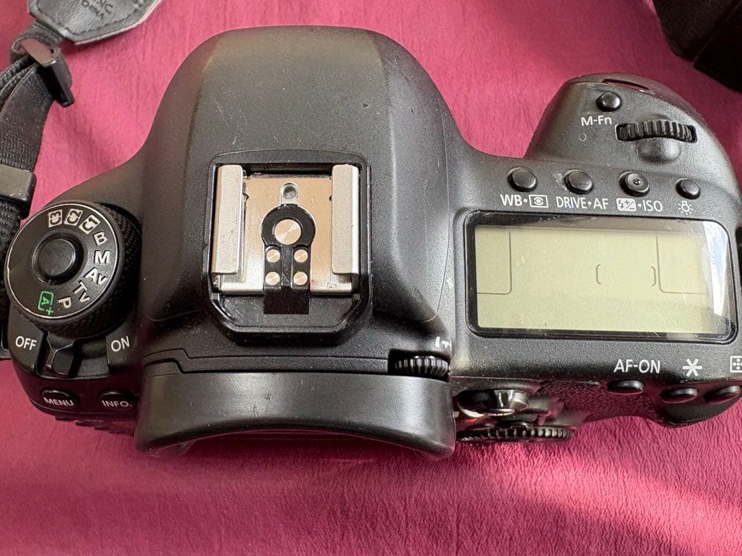 サービスセンターにて点検済　Canon EOS 5D mark 4 付属品完備