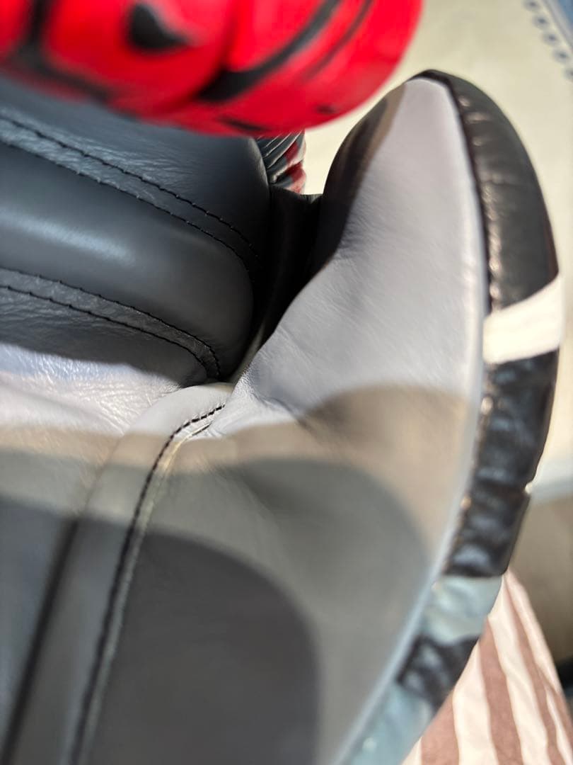 TWINS ボクシンググローブ 16 oz