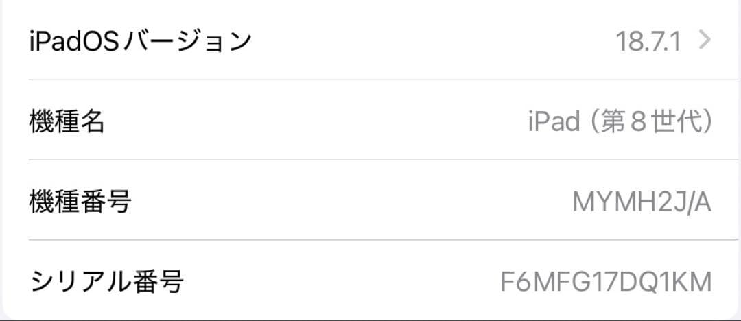 Apple iPad 第８世代 スペースグレー 本体