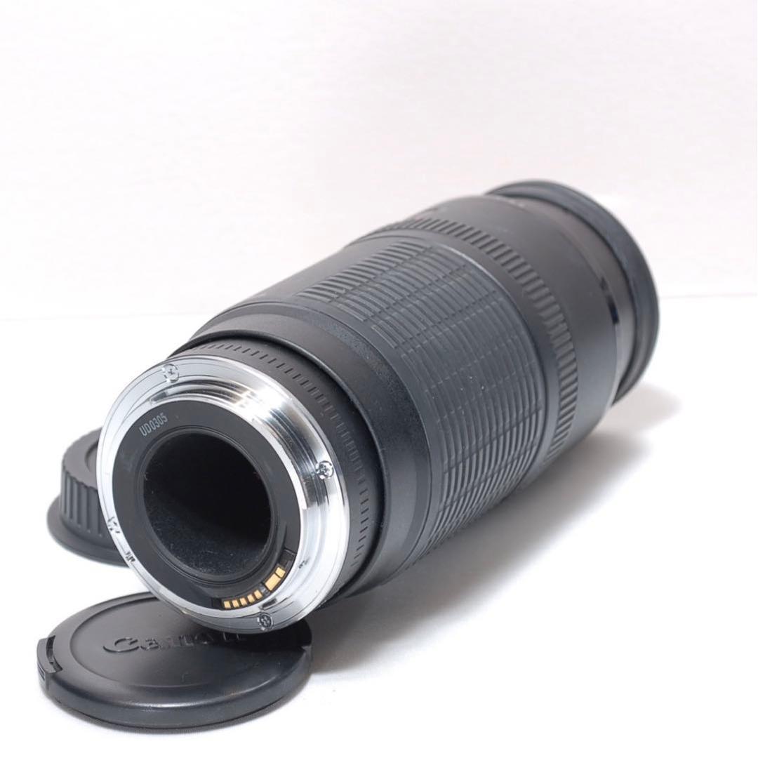 ✨F値固定✨Canon EF 100-300✨超望遠✨ズームレンズ✨スポーツ観戦