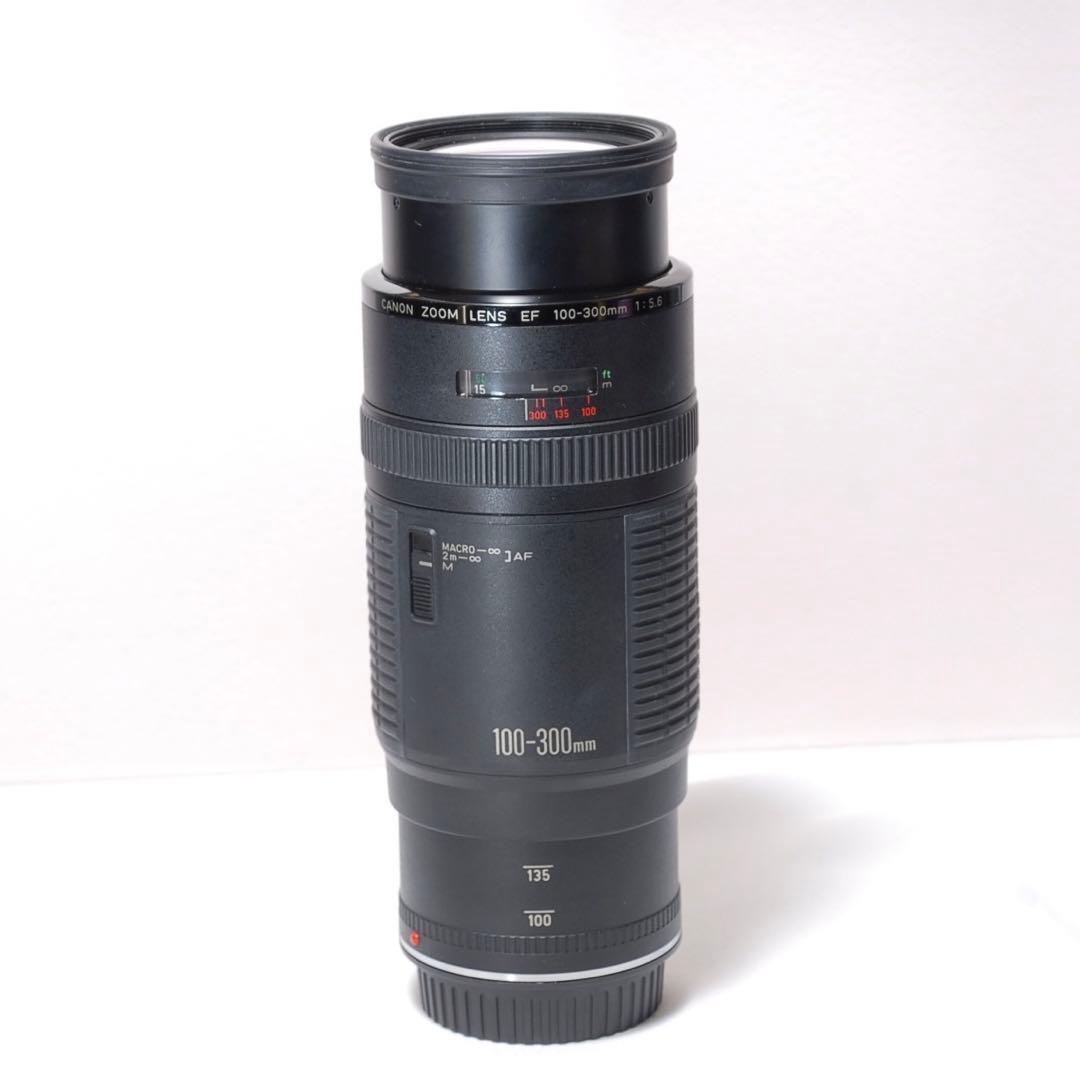 ✨F値固定✨Canon EF 100-300✨超望遠✨ズームレンズ✨スポーツ観戦