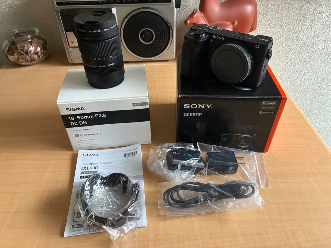 Sony α6600 ミラーレス一眼 + Sigma 18-50mm F2.8