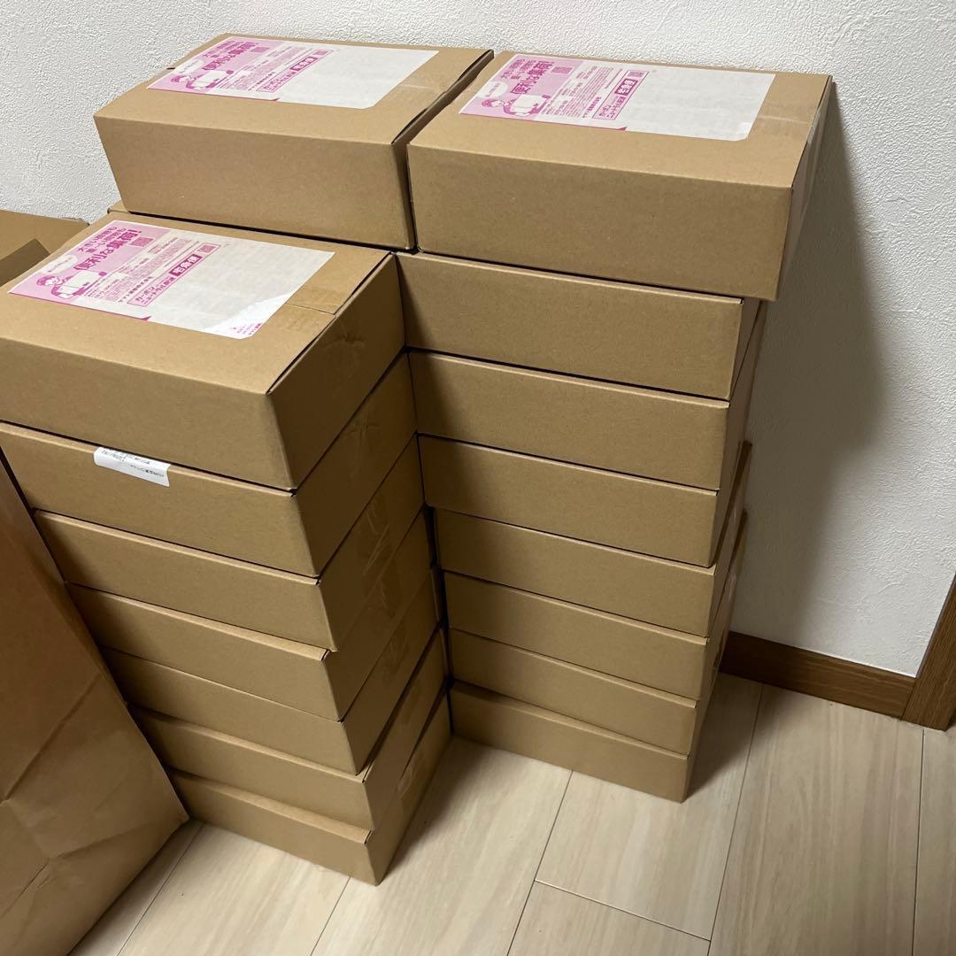 未開封ポケモンセンターBOX「ムニキスゼロ」保管箱