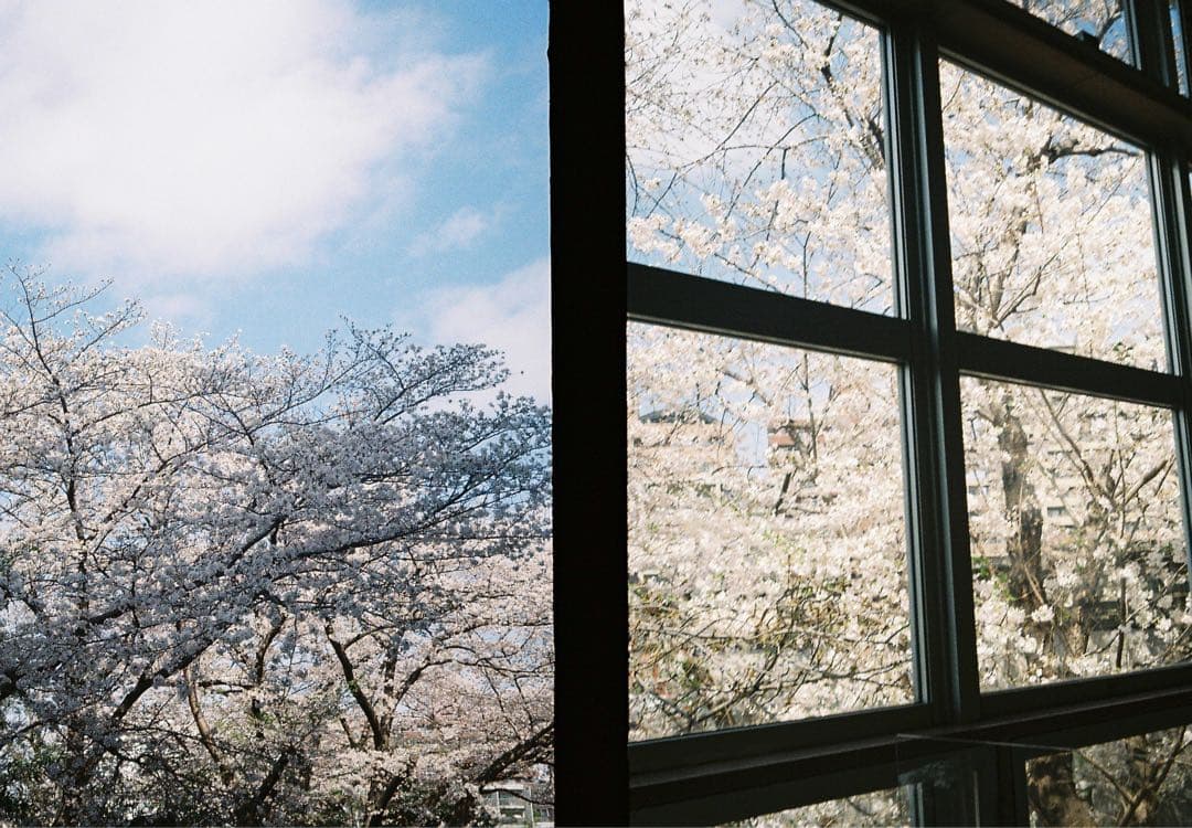 Olympus PEN フィルムカメラ