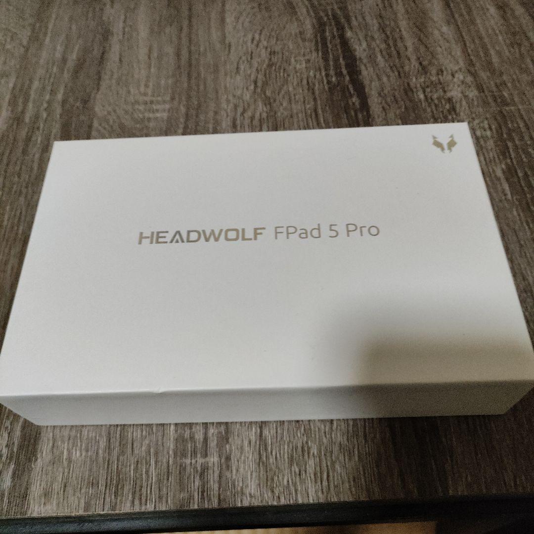 A*E様 HEADWOLF Fpad 5 Pro 256GB
