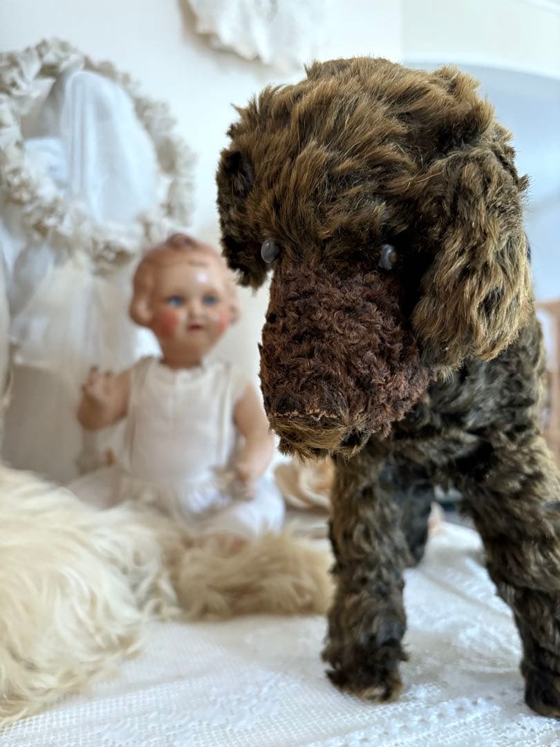 アンティーク 犬 アンティークテディベア アンティークベア フランスアンティーク