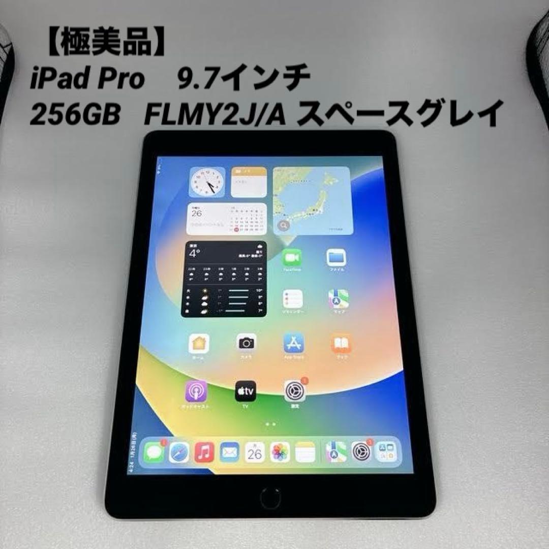 【極美品】iPad Pro 9.7インチ 256GB FLMY2J/A スペース
