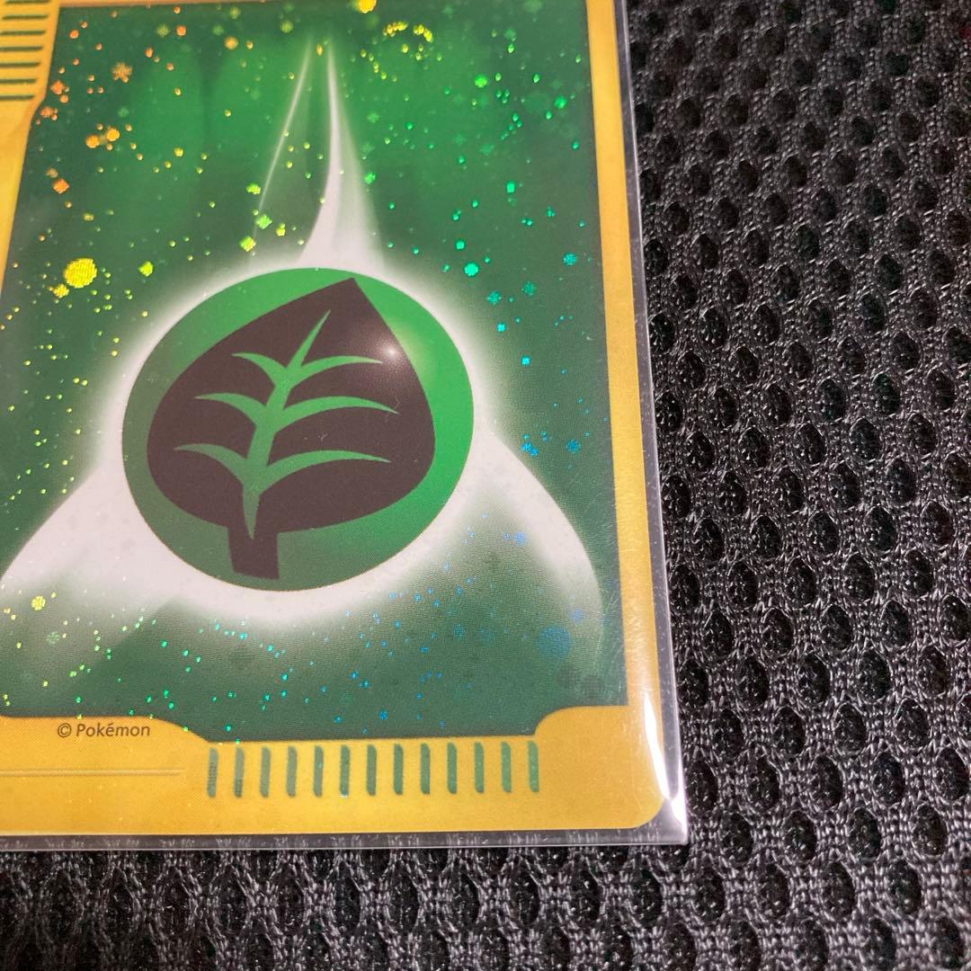 チコリータ エネルギーカード 2枚セットPSA認定