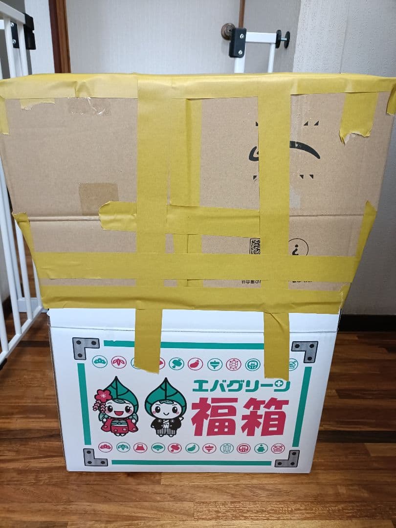 【新品フィルター付き】ツインウォーターサーバー 買い切り