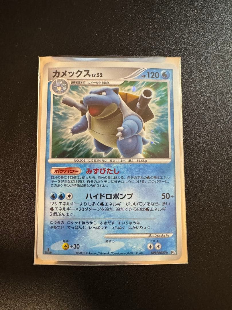 カメックス Lv.52 高鑑定 最高評価