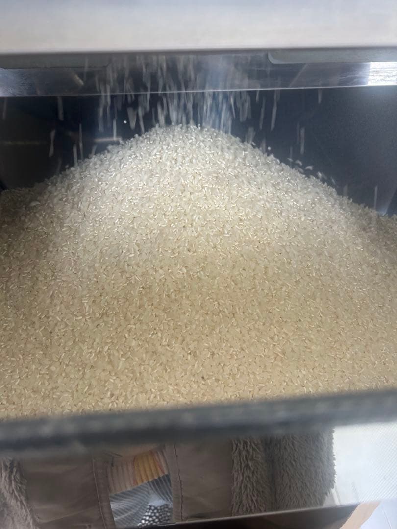 白米　森のくまさん10キロ