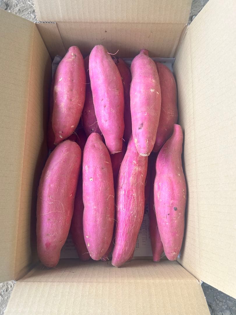 あまはづき　さつまいも　A品Ｌサイズ　20kg 残りわずか