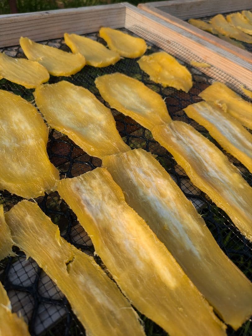 干し芋 シロタ 10kg｜ほしいも三ツ星生産者の訳あり干しいも（紅はるか）