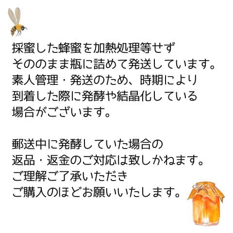 指宿産 日本蜜蜂 百花蜜500g×2