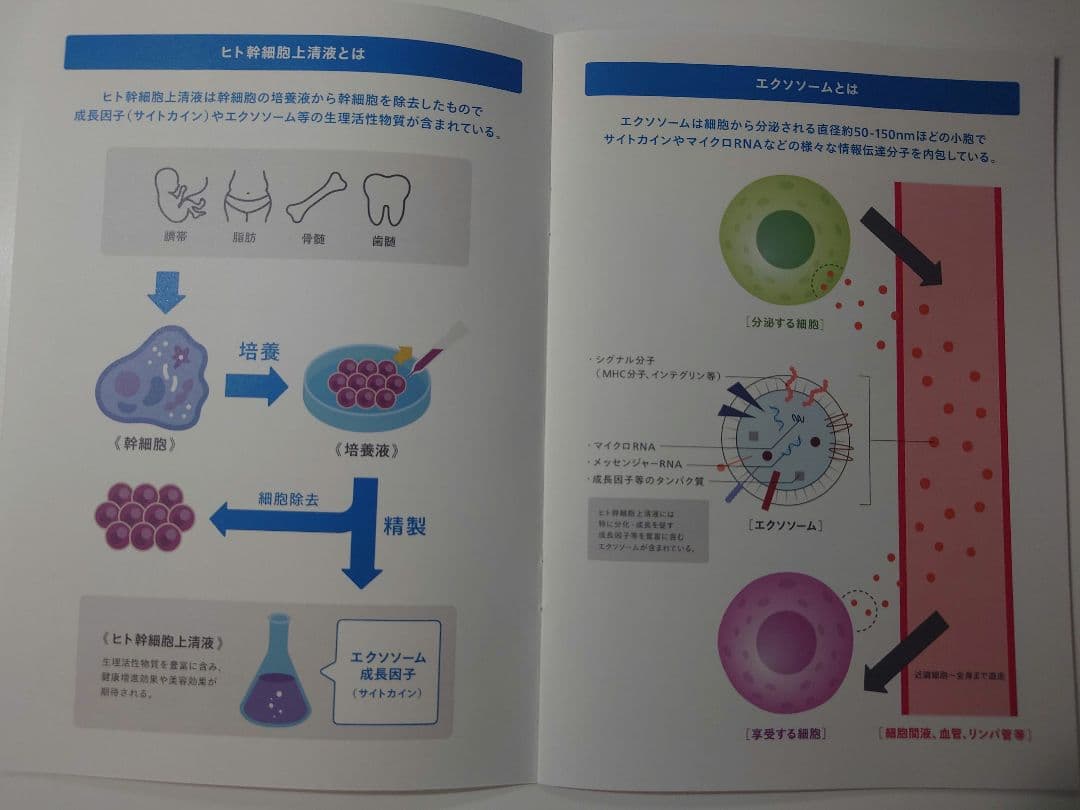 exstem エクステム ライズアップクリーム フォーメン　25g