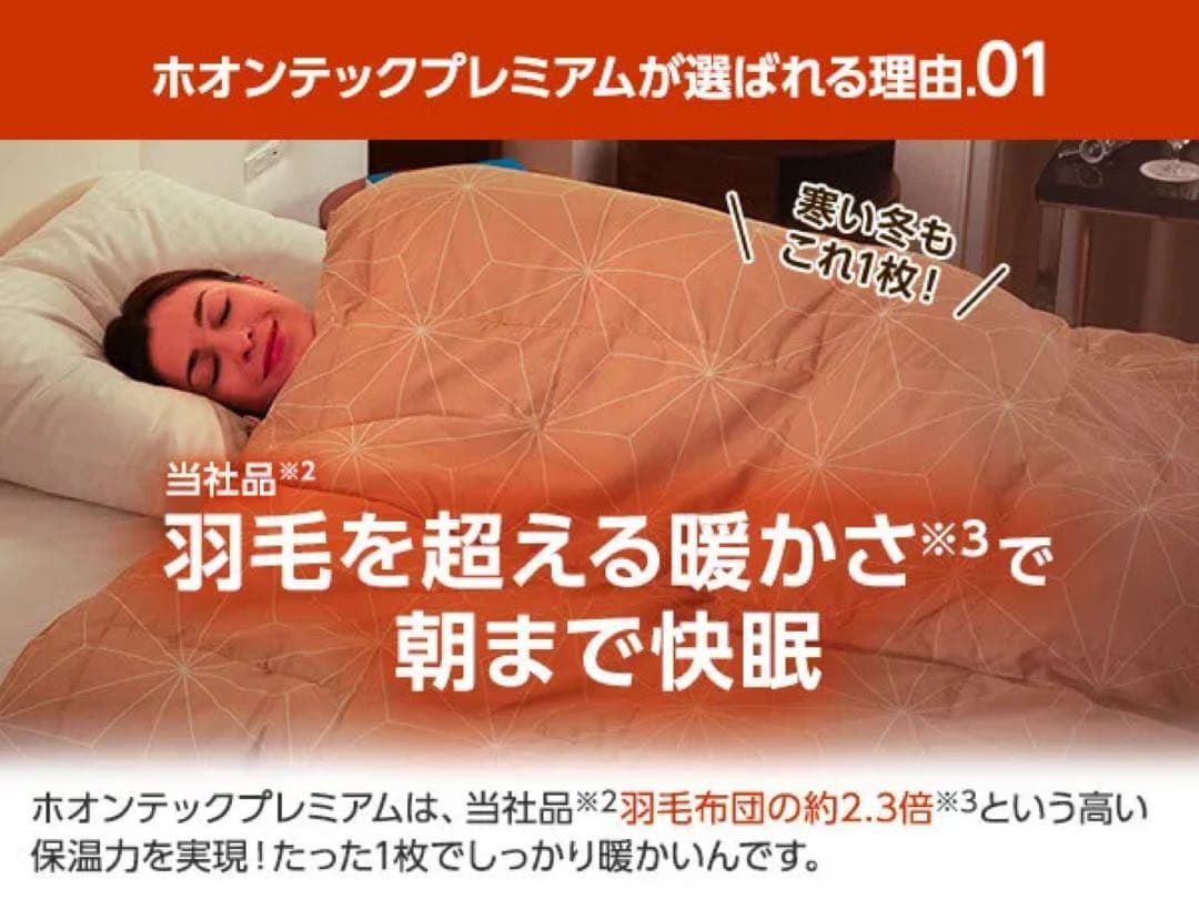True Sleeper ホオンテック掛け布団プレミアム２枚セット