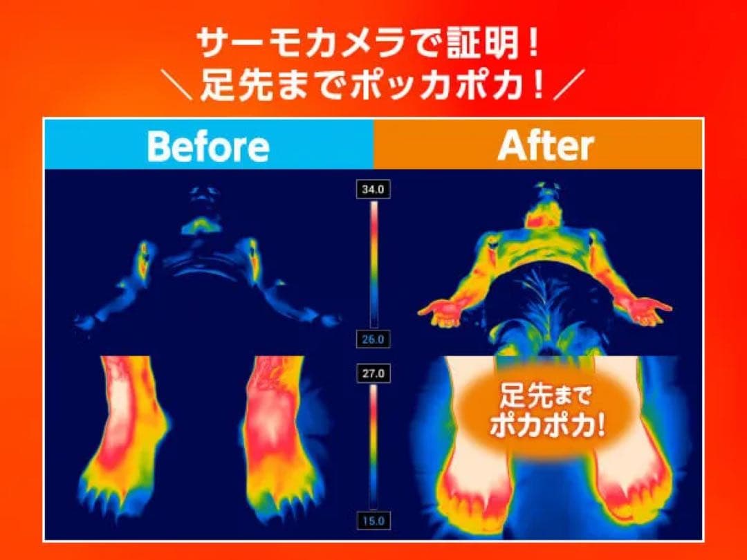 True Sleeper ホオンテック掛け布団プレミアム２枚セット