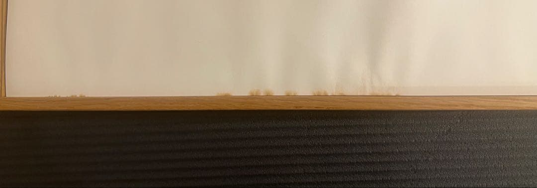 イシス・マアケスタッド「BOUQUET」 #Fine Little Day