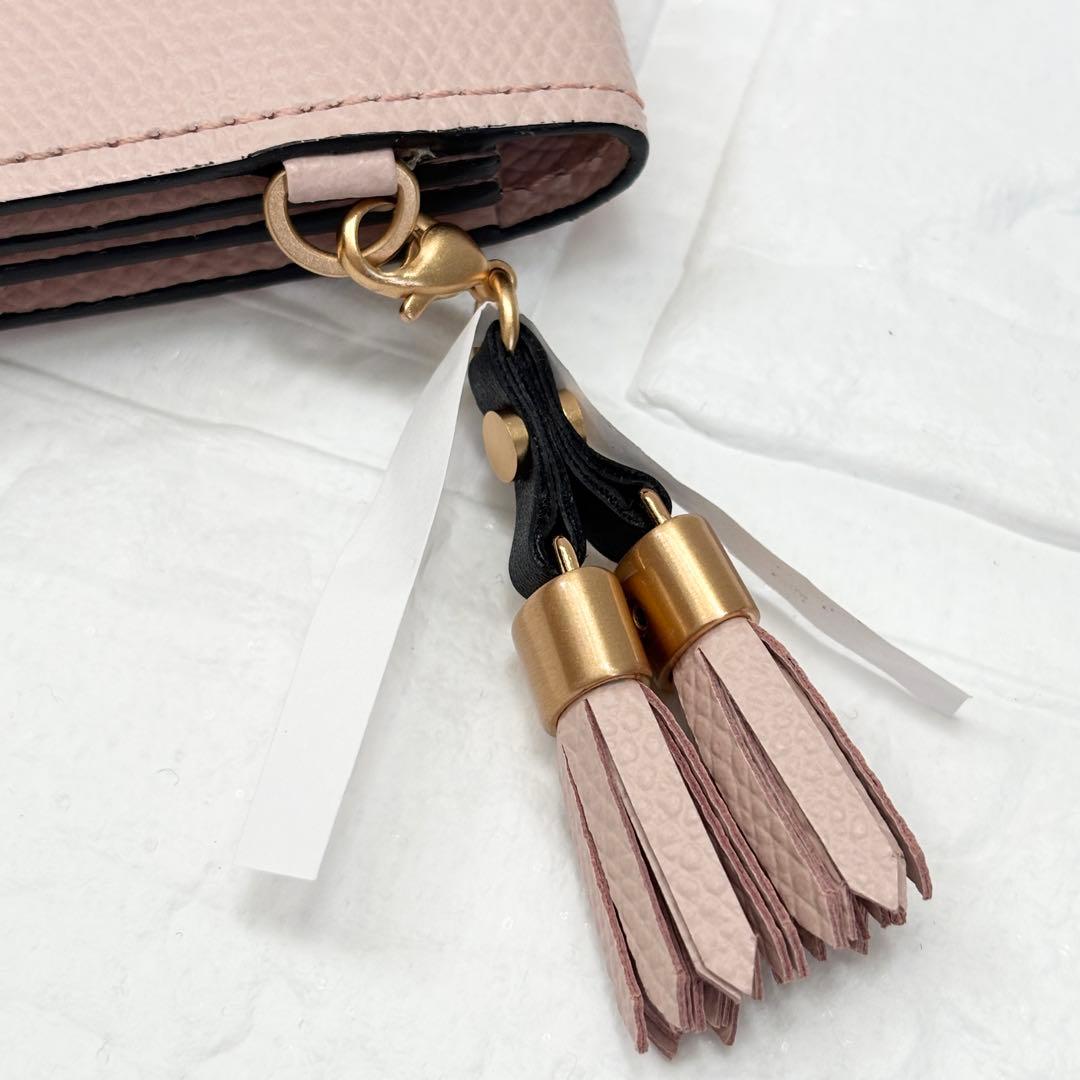 未使用【Epoi エポイ】シキシリーズ 名刺入れ　カード入れ 　タッセル　とき