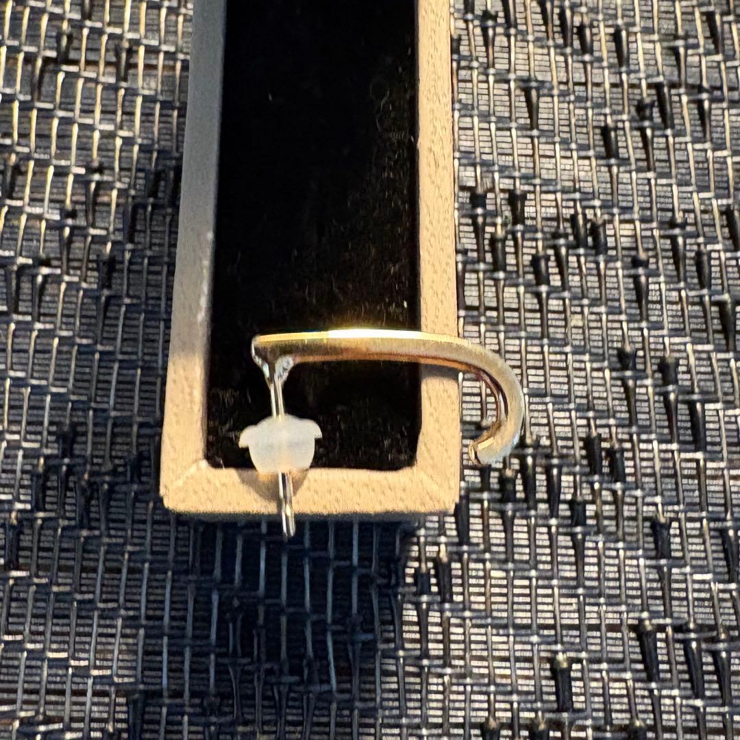 週末お値下げ Hirotaka インナーフックピアス(Mサイズ)