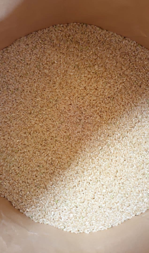 ちょっと訳有り 令和7年度 埼玉県産⭐にこまる⭐玄米29キロ 送料無料