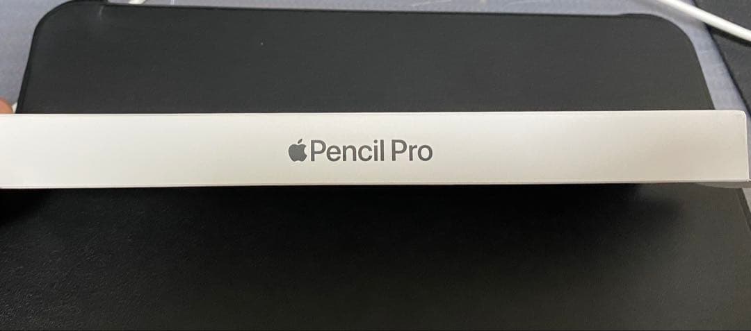 Apple Pencil Pro/アップルペンシルプロ